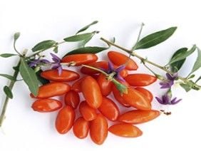 Goji Berry Ağacından İlk Meyve Ne Zaman Alınır?