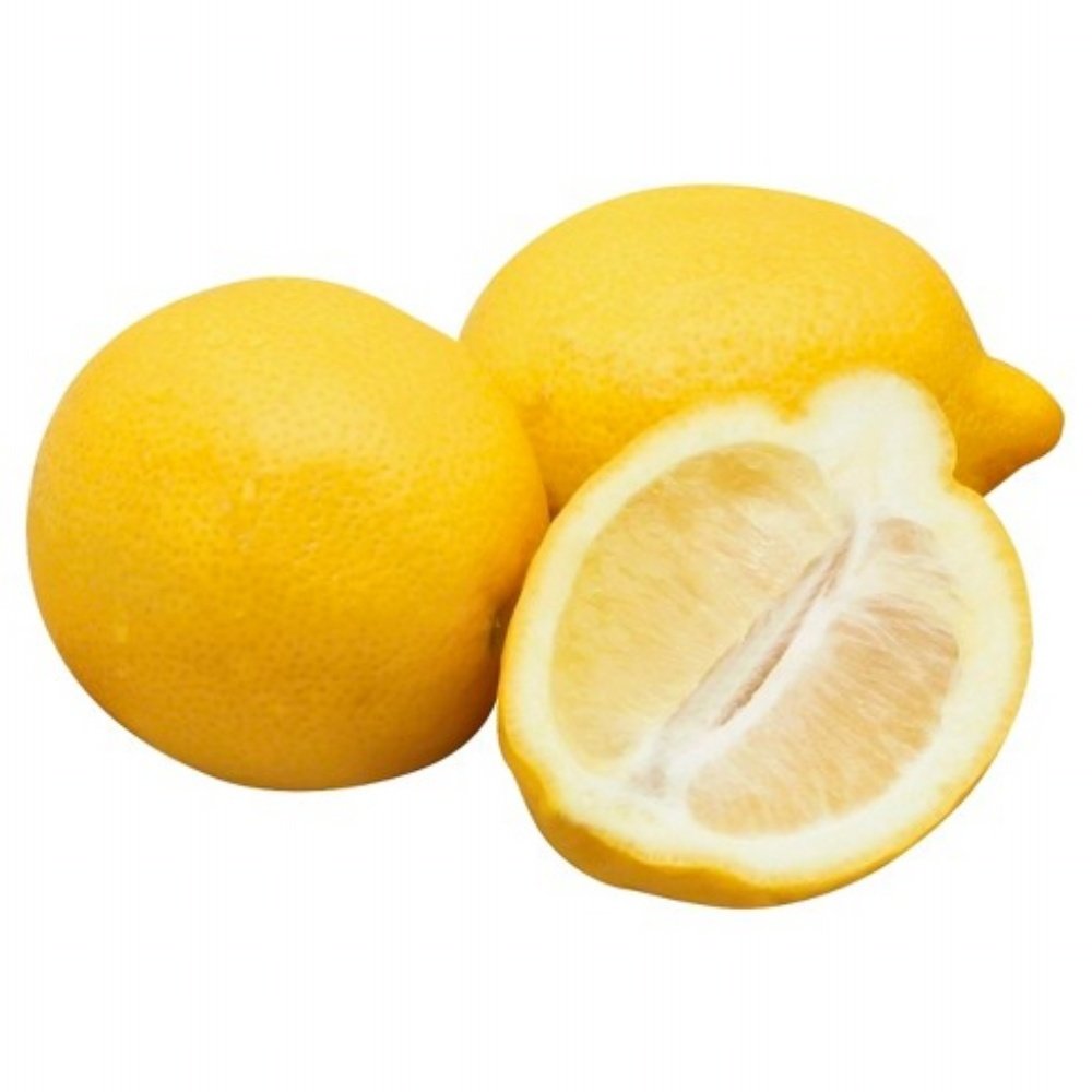 Tüplü Aşılı Şeker Gibi Tatlı Şeker Limon Fidanı