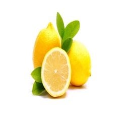 Tüplü Aşılı İnce Kabuklu Enter Limon Fidanı