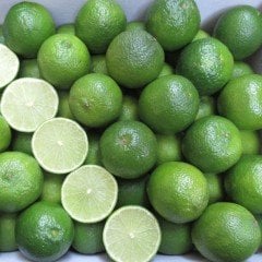 Tüplü Aşılı Nadir Meksika Lime Çekirdeksiz Limon Fidanı