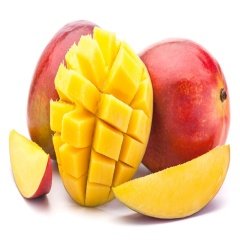 Tüplü Hobi Amaçlı Dikime Uygun Mango Fidanı