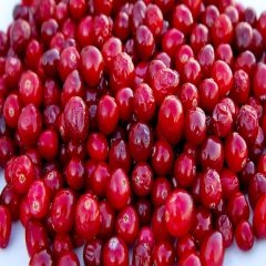 Tüplü Anadolu Küçük Meyveli Şifalı Kızılcık Fidanı-4 Adet