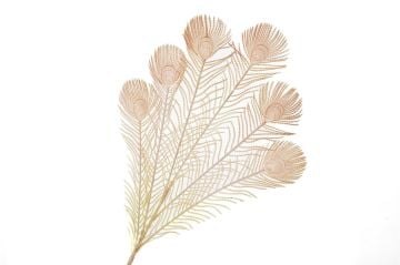 Plumy Pembe Yapay Çiçek 75cm