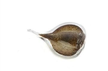 Vatoz Balık Cam Dek Obje 15x12x5cm