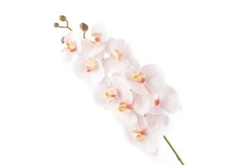 Açık Pembe Tek Yapay Orkide 81cm