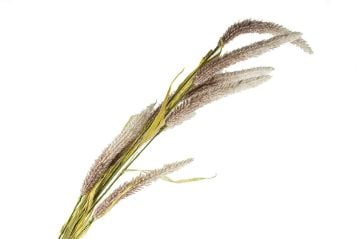 Pembe Kamış Yapay Çiçek 100cm