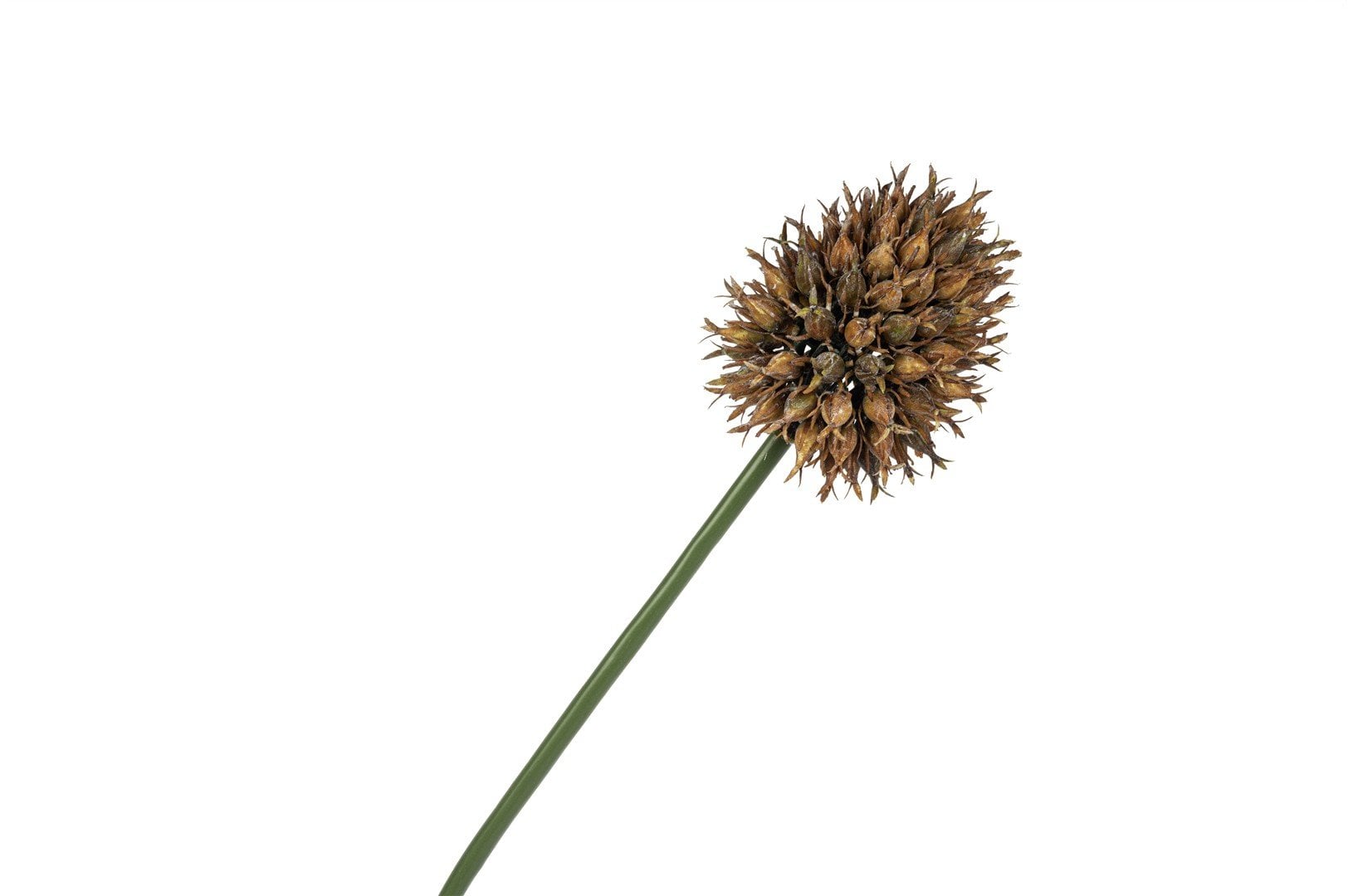 Kahve Yapay Soğan Çiçeği 68cm