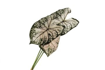 Pembe Yeşil 3 Yapraklı Yapay Çiçek 80cm