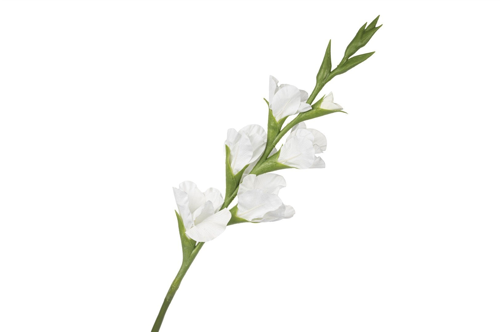 Beyaz Yapay Glayöl 86cm