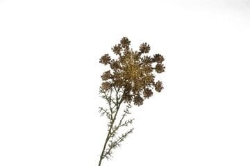 Kahve Yapay Pııtırcıklı Çiçek 70cm