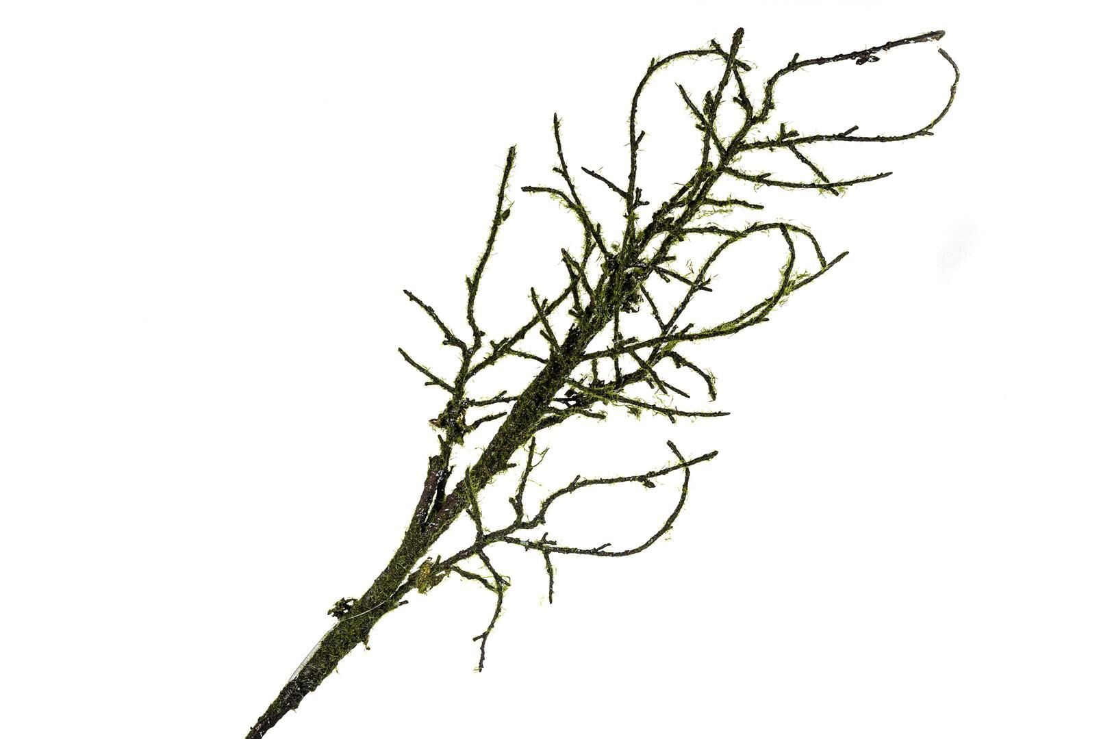 Yosun Ağaç Dalı Yapay Çiçek 110cm