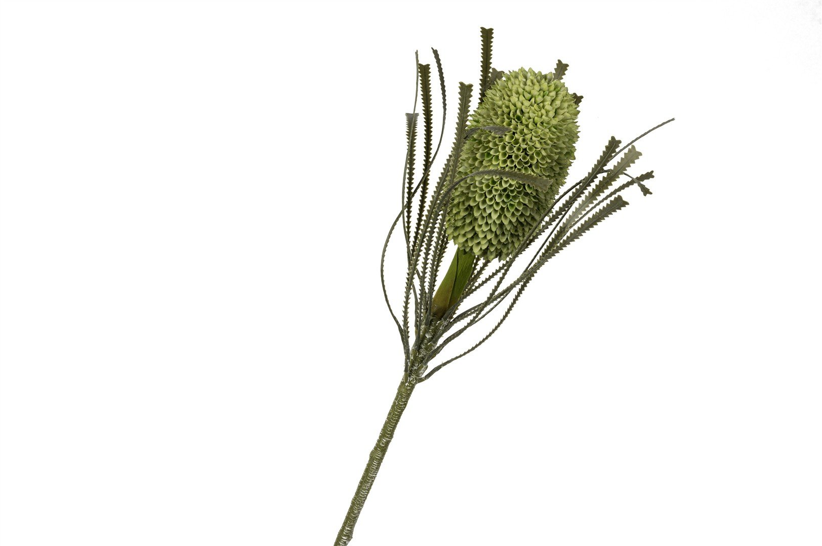 Yeşil Yapay Protea Çiçeği 82cm