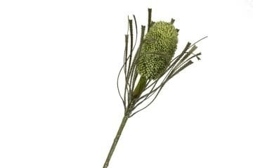 Yeşil Yapay Protea Çiçeği 82cm