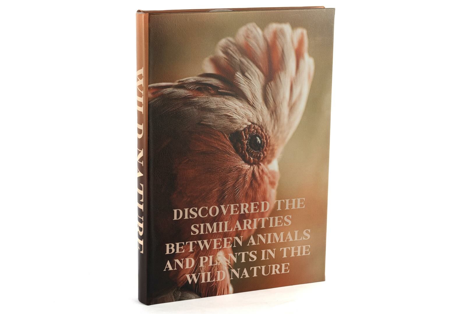 Wild Nature Kitap Kutu 35x24x3cm