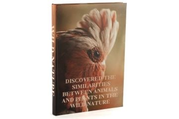 Wild Nature Kitap Kutu 35x24x3cm