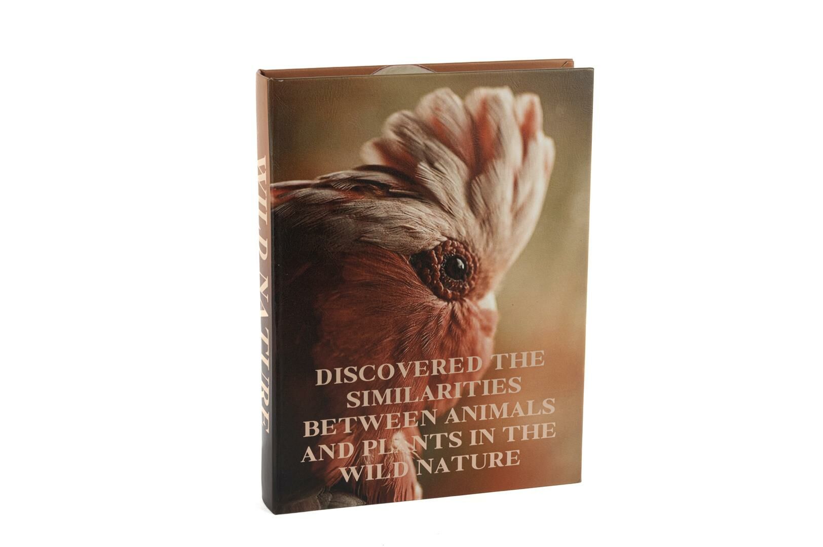 Wild Nature Kitap Kutu 28x22x4cm