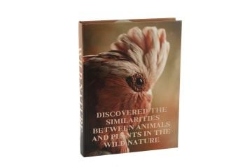 Wild Nature Kitap Kutu 28x22x4cm