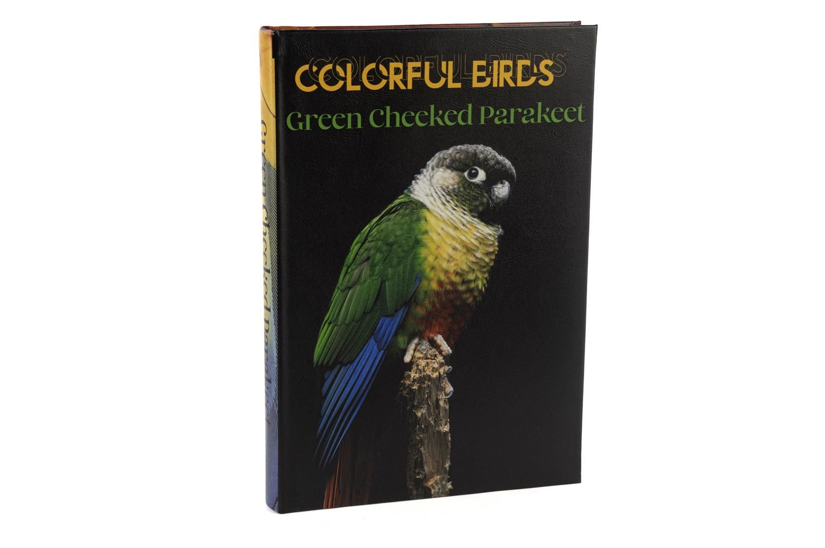 Colorful Birds Kitap Kutu 35x24x3cm