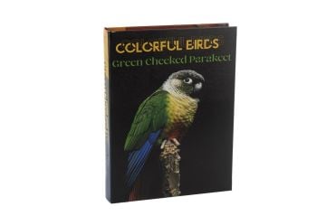 Colorful Birds Kitap Kutu 28x22x4cm