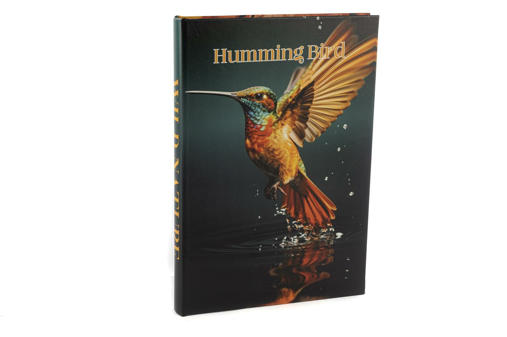 Humming Bird Kitap Kutu 35x24x3cm