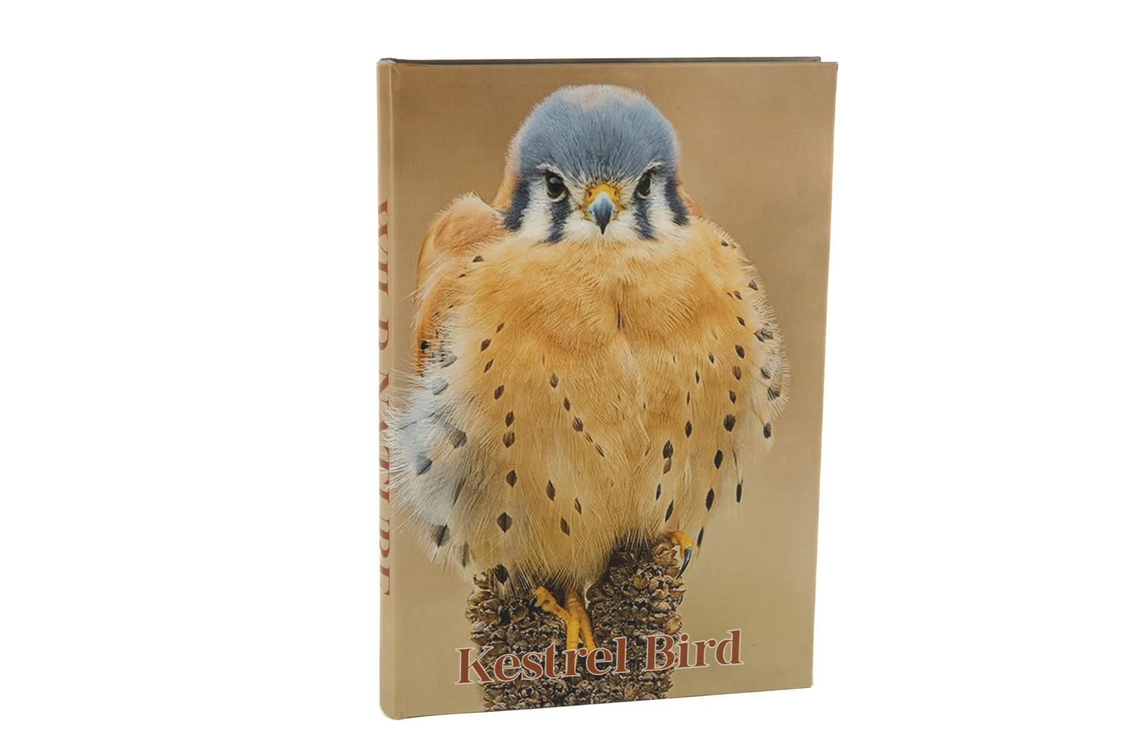 Kestrel Bird Kitap Kutu 35x24x3cm