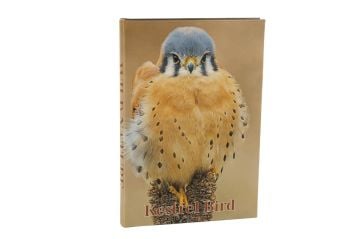 Kestrel Bird Kitap Kutu 35x24x3cm