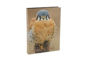 Kestrel Bird Kitap Kutu 28x22x4cm