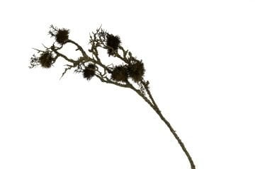 Kuru Dal Dikenli Yapay Çiçek 101cm