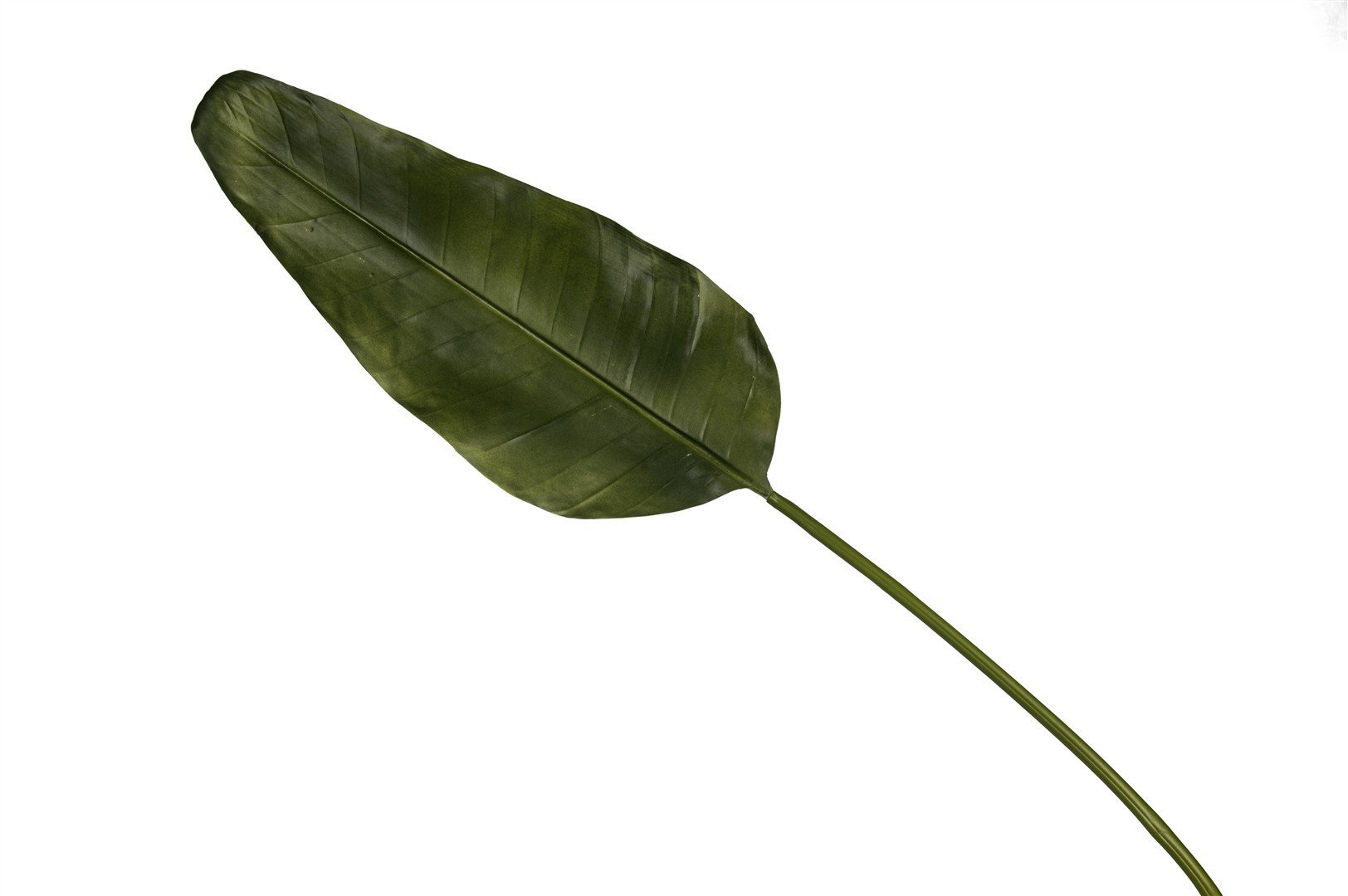 Yeşil Uzun Yaprak 115cm