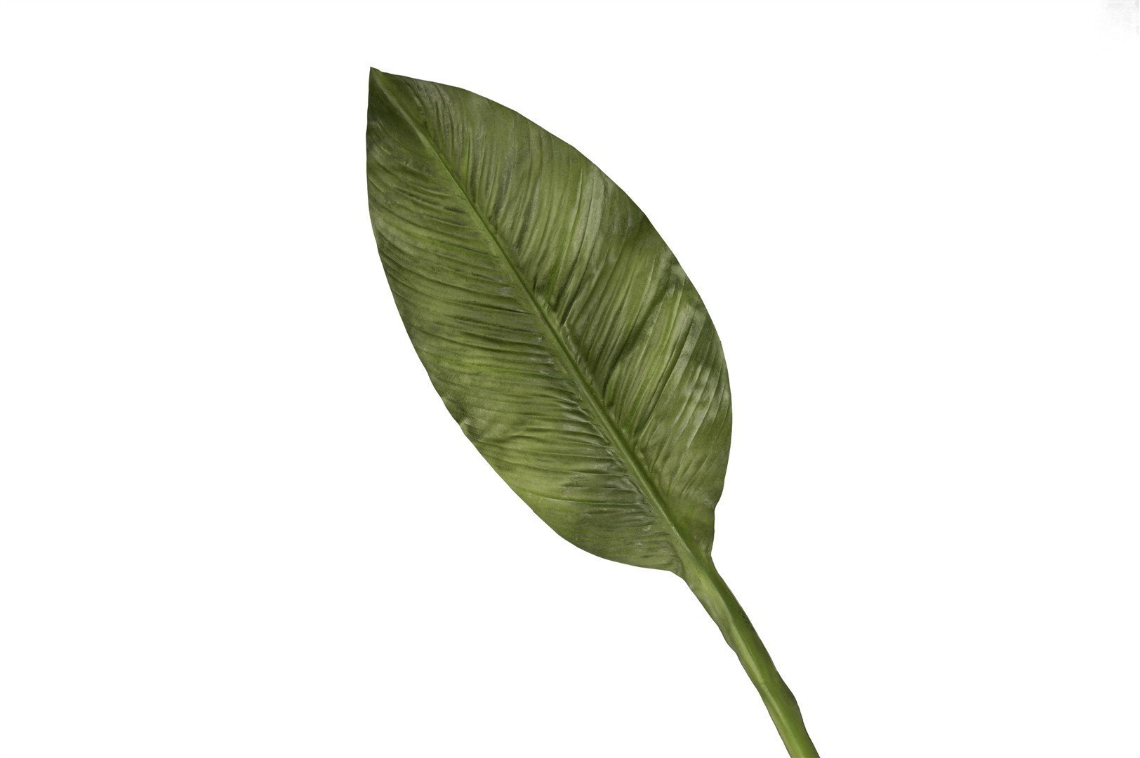 Yeşil Starliçe Yaprak 86cm