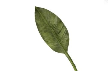 Yeşil Starliçe Yaprak 86cm