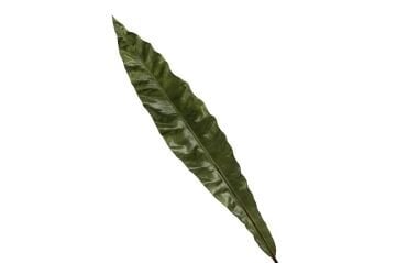 Yeşil Yaprak Yapay Çiçek 71cm