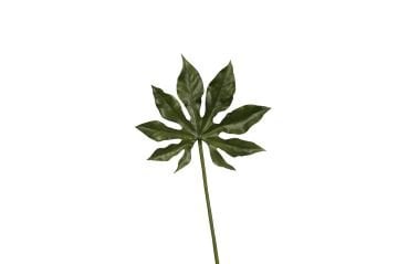 Yeşil Yaprak Yapay Çiçek 51cm