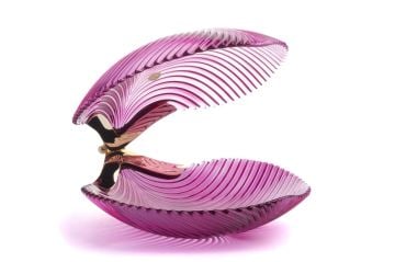 Magenta Gold Cam Deniz Kabuğu Obje  29x25x22cm