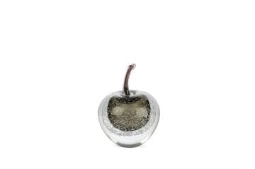 Frozen Black Apple Cam Obje 12x16cm