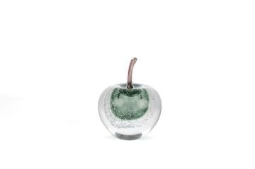 Frozen Green Apple Cam Obje 12x16cm