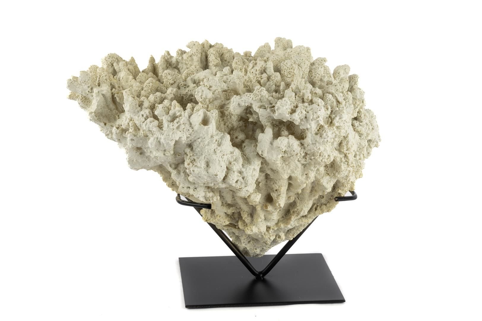 Siyah Kaideli Naturel Mercan 30x23cm