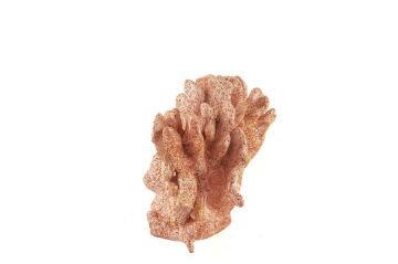 Pembe Mercan 22x13x15cm