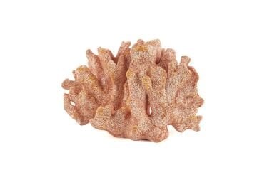 Pembe Mercan 22x13x15cm