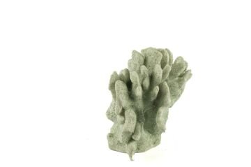 Yeşil Mercan 22x13x15cm