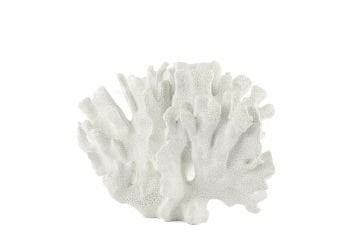 Beyaz Mercan 28x13x19cm