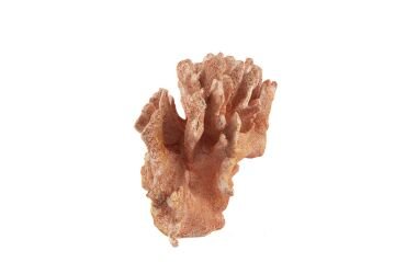 Pembe Mercan 28x13x19cm