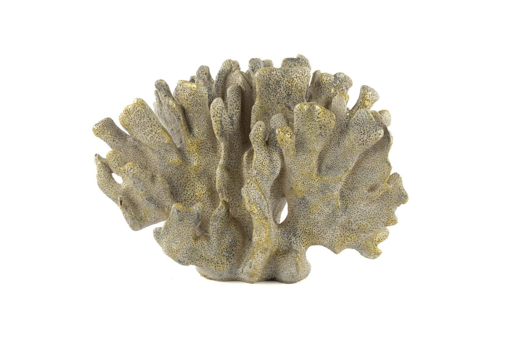 Gold Mercan 28x13x19cm