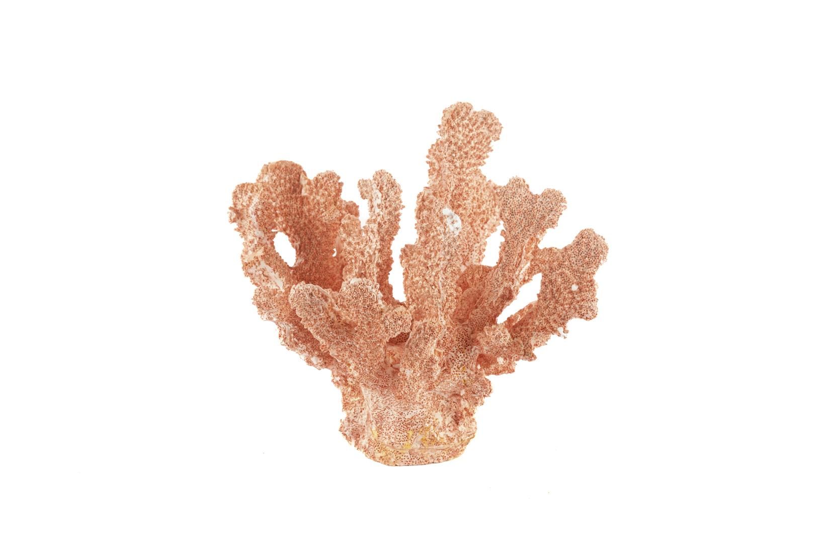 Pembe Mercan 17x17cm
