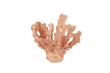 Pembe Mercan 17x17cm