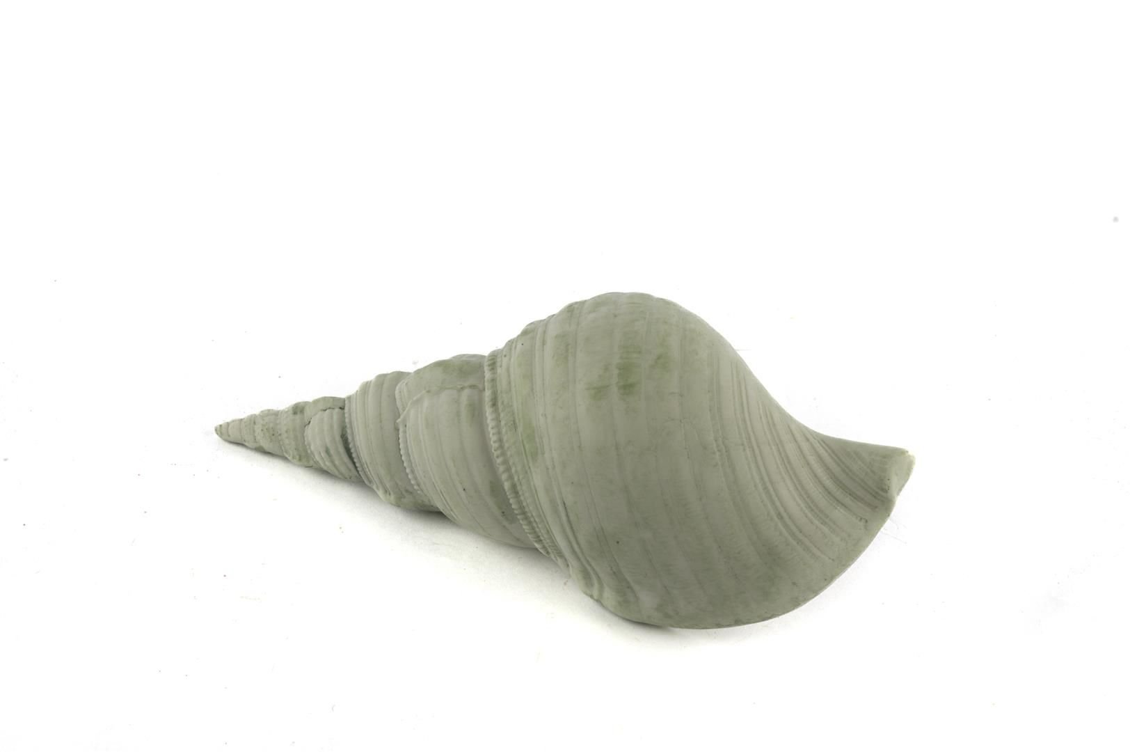 Yeşil Deniz Kabuğu 21x7cm