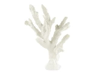 Beyaz Mercan 25x36cm