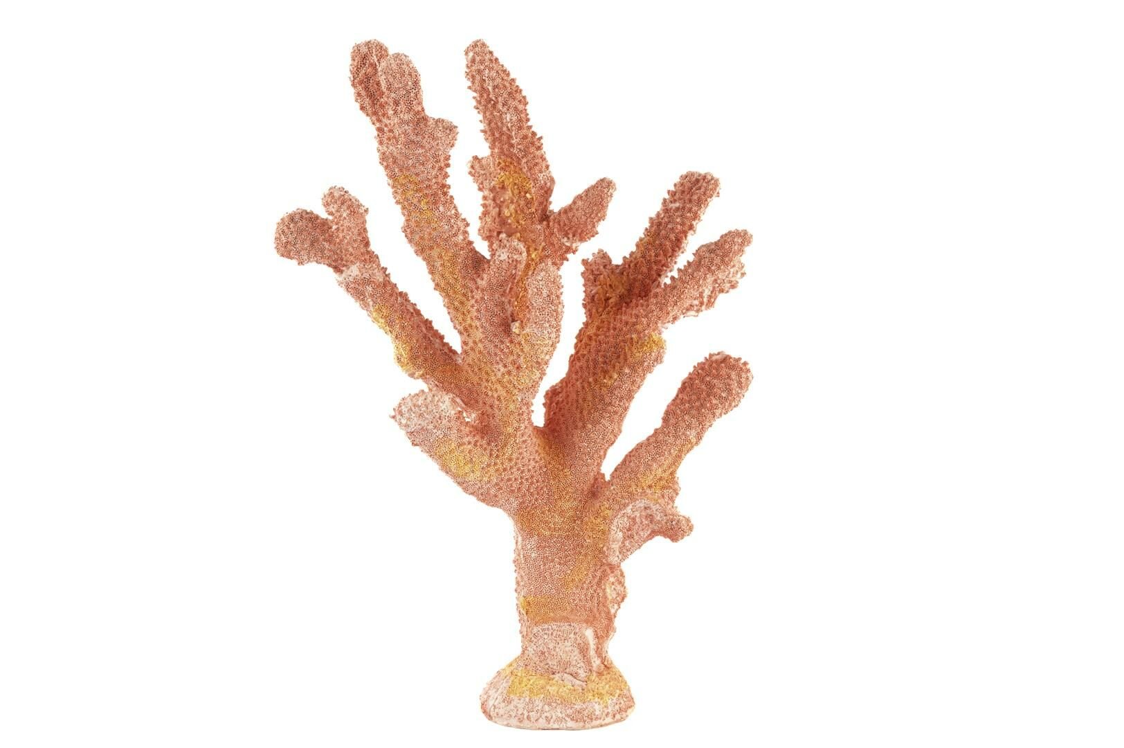 Pembe Mercan 25x36cm