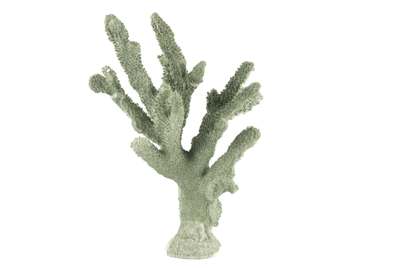 Yeşil Mercan 25x36cm