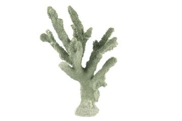 Yeşil Mercan 25x36cm